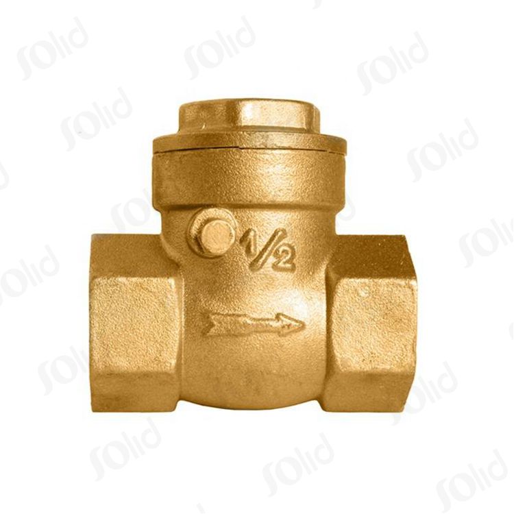 Brass Check Valve.jpg