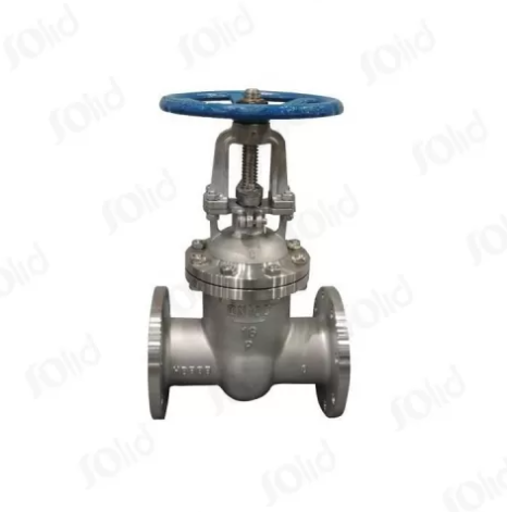 Stainless Steel Flanged Gate Valve