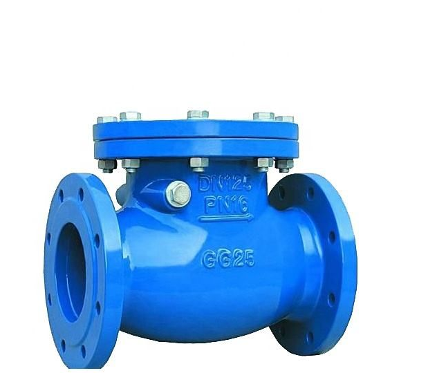 DN200 Ductile Iron Swing Type Check Valve PN25