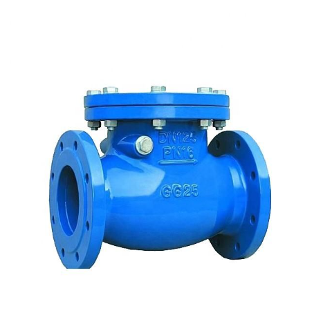 DN200 Ductile Iron Swing Type Check Valve PN25