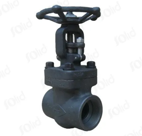 Forged Steel Gate Valve