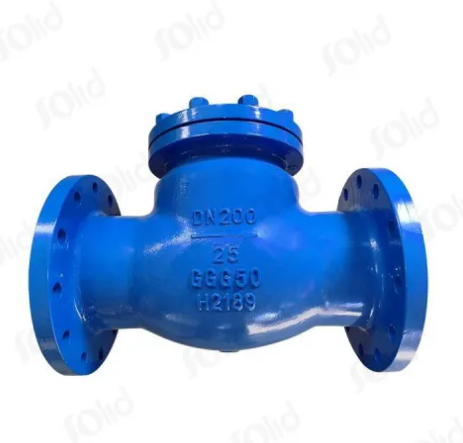 DN200 Ductile Iron Swing Type Check Valve