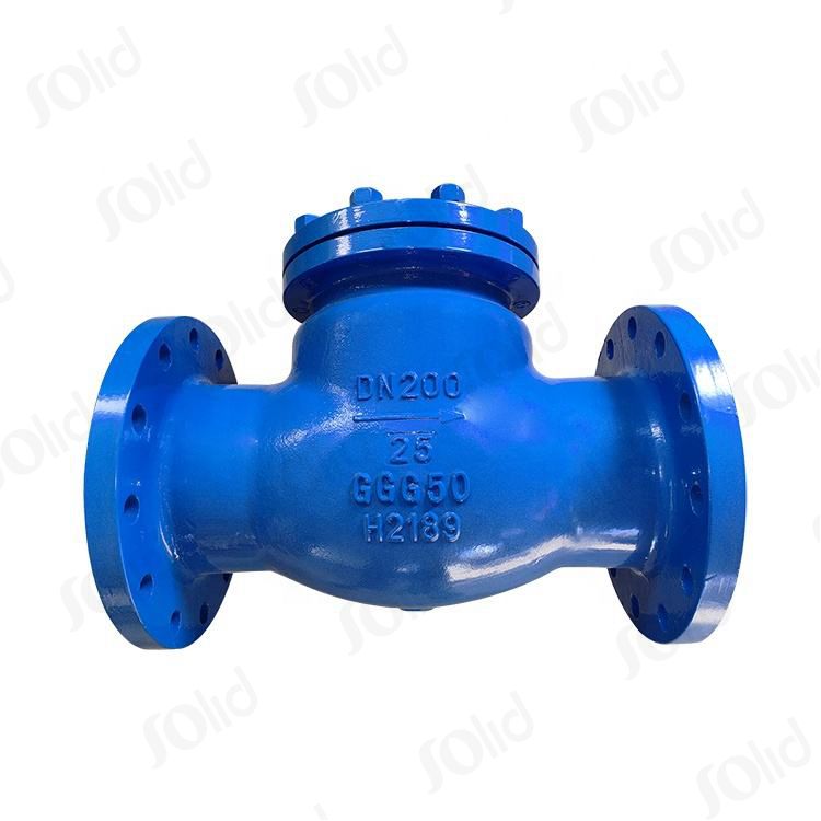 DN200 Ductile Iron Swing Type Check Valve PN25