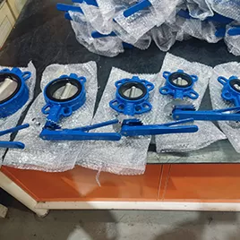 Butterfly Valve Inspection