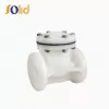 PVC Swing Type Check Valve