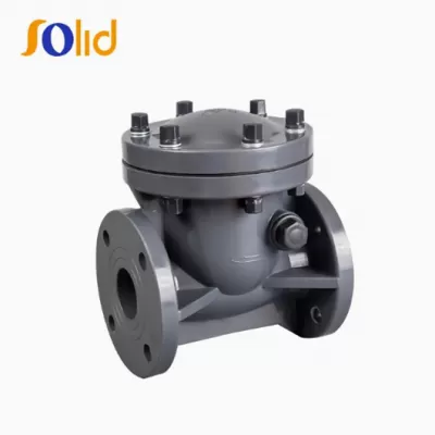 PVC Swing Type Check Valve
