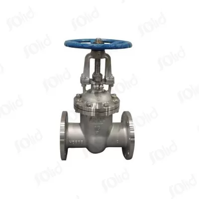 Stainless Steel Gate Valve