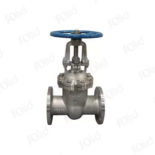 Stainless Steel Gate Valve