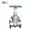 Stainless Steel Gate Valve