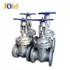 Stainless Steel Gate Valve