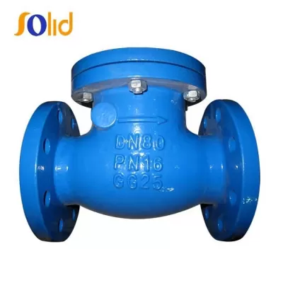 DN200 Ductile Iron Swing Type Check Valve PN25
