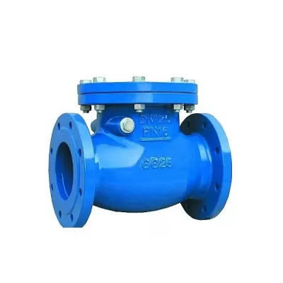 DN200 Ductile Iron Swing Type Check Valve PN25