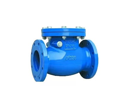 Ductile Iron Check Valve Buying Guide