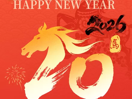 Spring Festival Holiday Notice